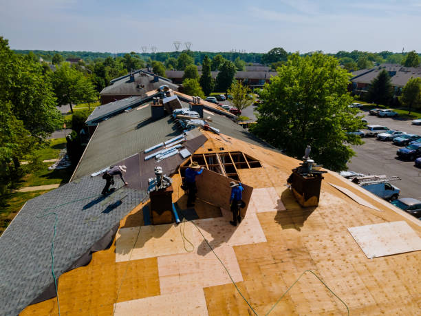 24/7 Emergency Roof Repair experts in Dry Branch, GA